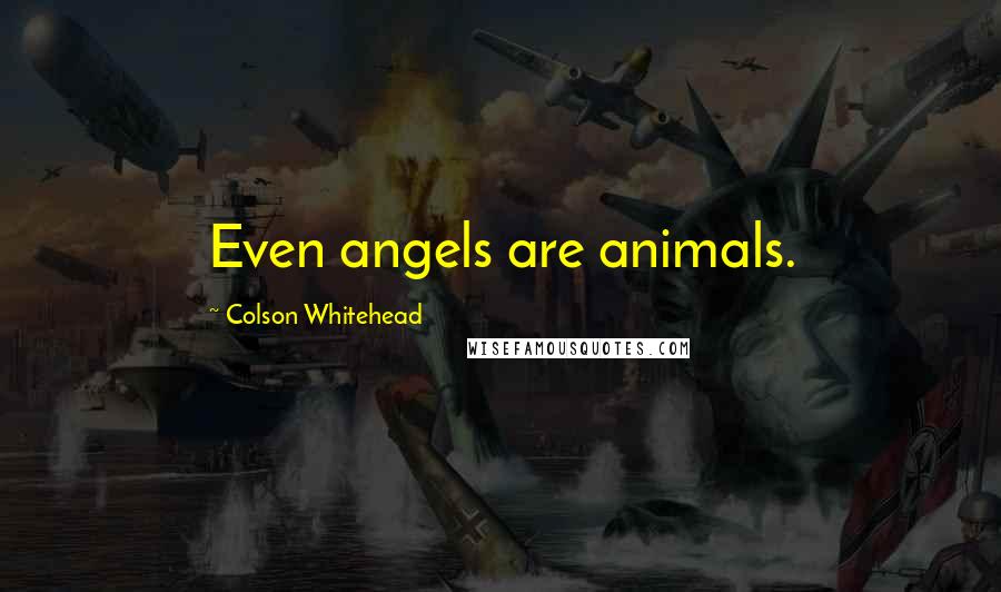 Colson Whitehead Quotes: Even angels are animals.