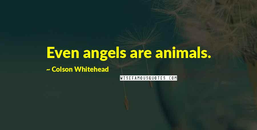 Colson Whitehead Quotes: Even angels are animals.