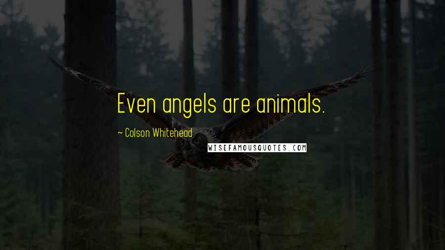 Colson Whitehead Quotes: Even angels are animals.