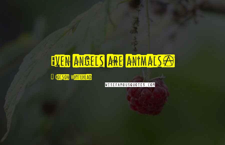 Colson Whitehead Quotes: Even angels are animals.