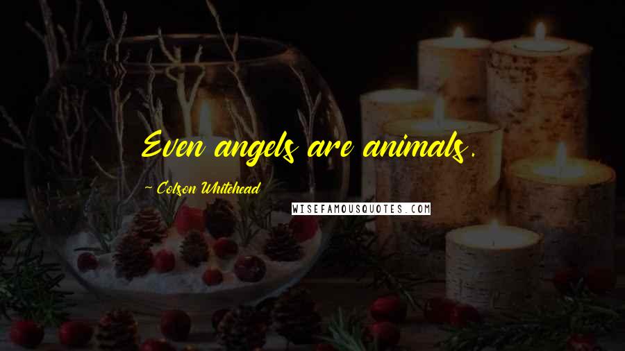 Colson Whitehead Quotes: Even angels are animals.