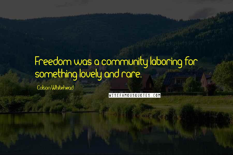 Colson Whitehead Quotes: Freedom was a community laboring for something lovely and rare.