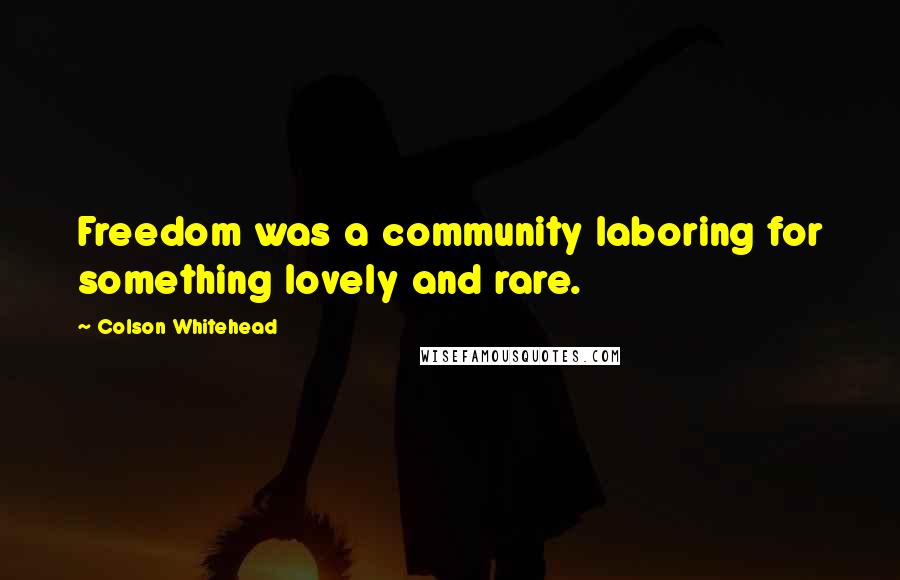 Colson Whitehead Quotes: Freedom was a community laboring for something lovely and rare.