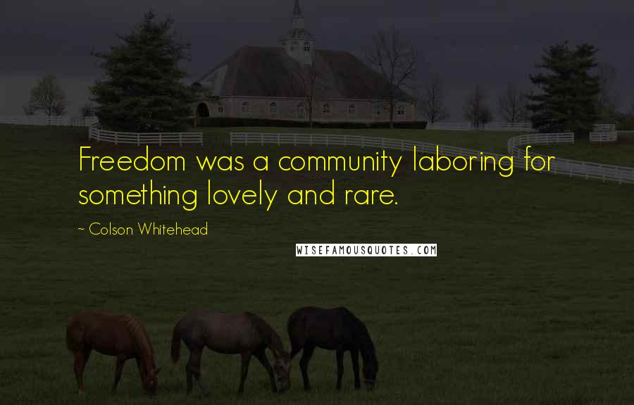 Colson Whitehead Quotes: Freedom was a community laboring for something lovely and rare.