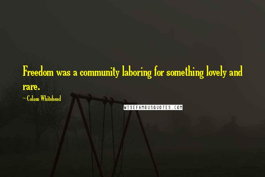Colson Whitehead Quotes: Freedom was a community laboring for something lovely and rare.
