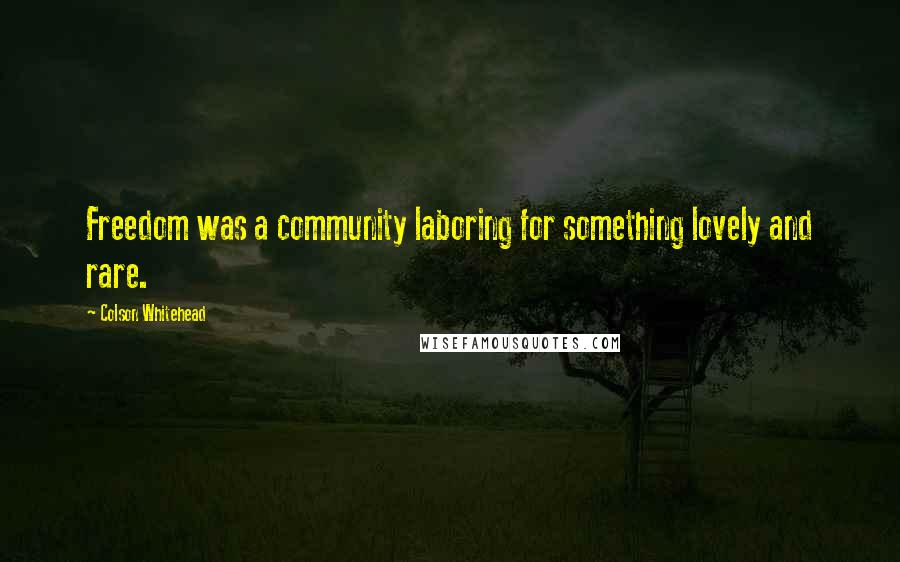 Colson Whitehead Quotes: Freedom was a community laboring for something lovely and rare.