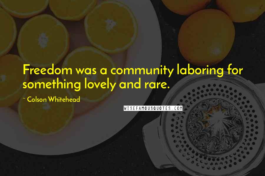Colson Whitehead Quotes: Freedom was a community laboring for something lovely and rare.