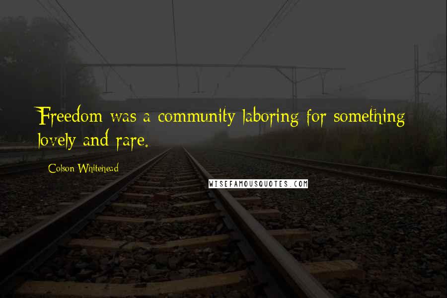 Colson Whitehead Quotes: Freedom was a community laboring for something lovely and rare.