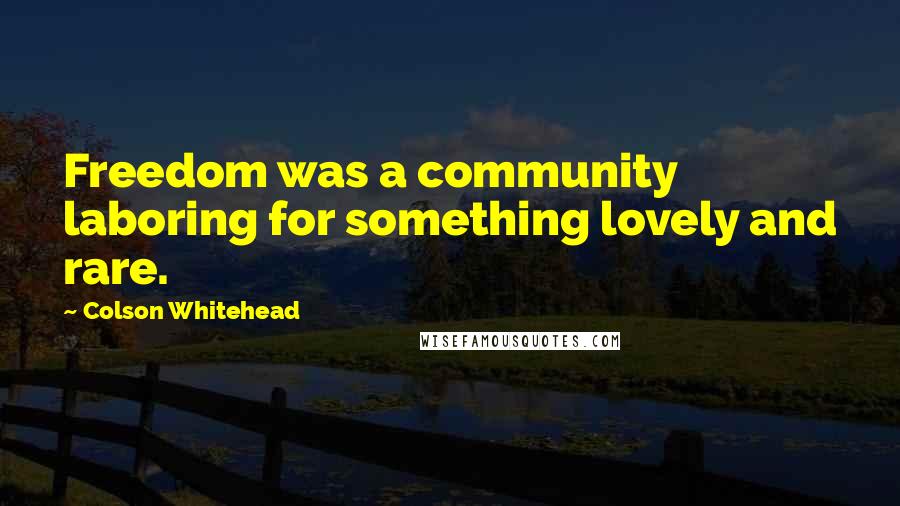 Colson Whitehead Quotes: Freedom was a community laboring for something lovely and rare.