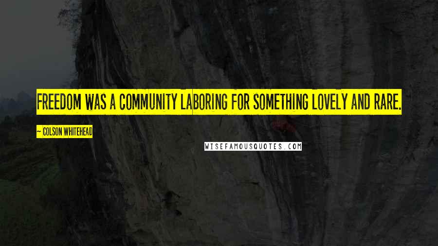 Colson Whitehead Quotes: Freedom was a community laboring for something lovely and rare.