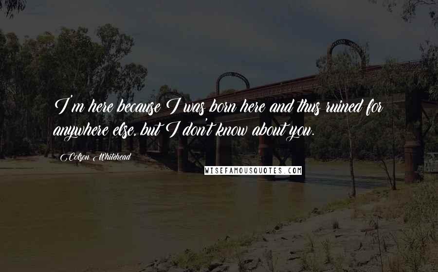 Colson Whitehead Quotes: I'm here because I was born here and thus ruined for anywhere else, but I don't know about you.