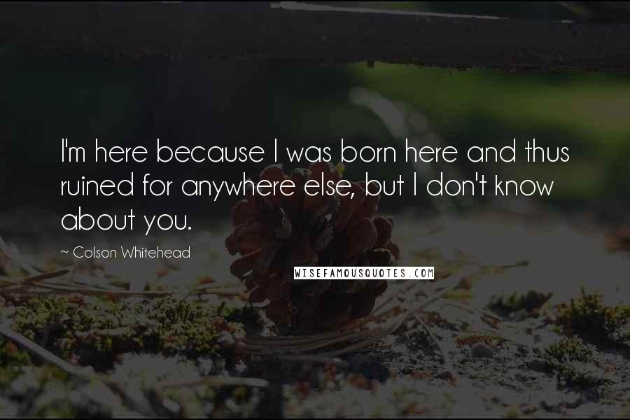 Colson Whitehead Quotes: I'm here because I was born here and thus ruined for anywhere else, but I don't know about you.