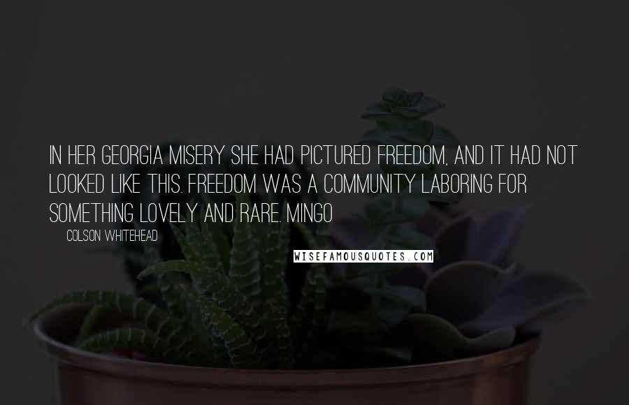 Colson Whitehead Quotes: In her Georgia misery she had pictured freedom, and it had not looked like this. Freedom was a community laboring for something lovely and rare. Mingo