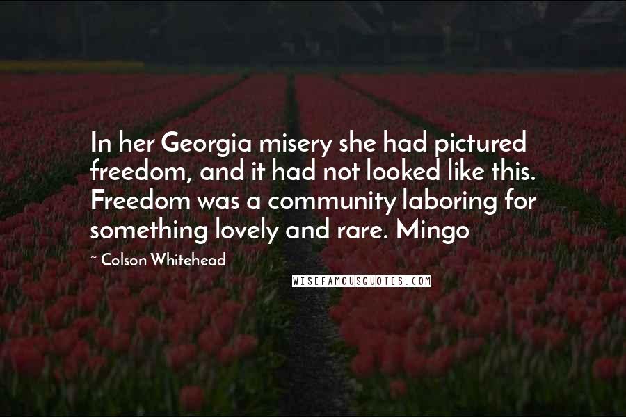 Colson Whitehead Quotes: In her Georgia misery she had pictured freedom, and it had not looked like this. Freedom was a community laboring for something lovely and rare. Mingo