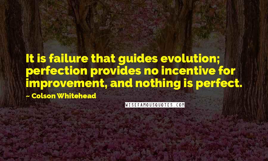 Colson Whitehead Quotes: It is failure that guides evolution; perfection provides no incentive for improvement, and nothing is perfect.