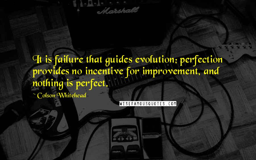 Colson Whitehead Quotes: It is failure that guides evolution; perfection provides no incentive for improvement, and nothing is perfect.