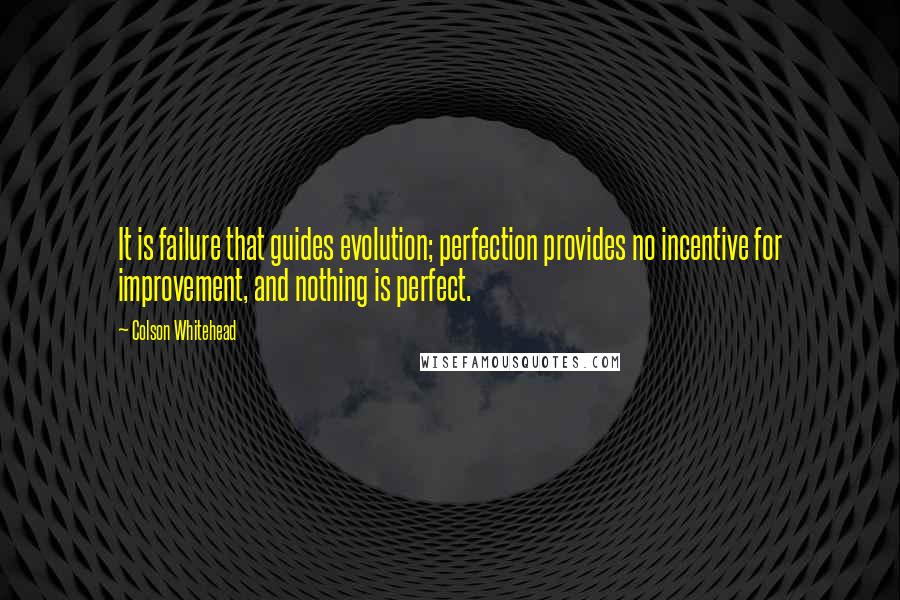 Colson Whitehead Quotes: It is failure that guides evolution; perfection provides no incentive for improvement, and nothing is perfect.