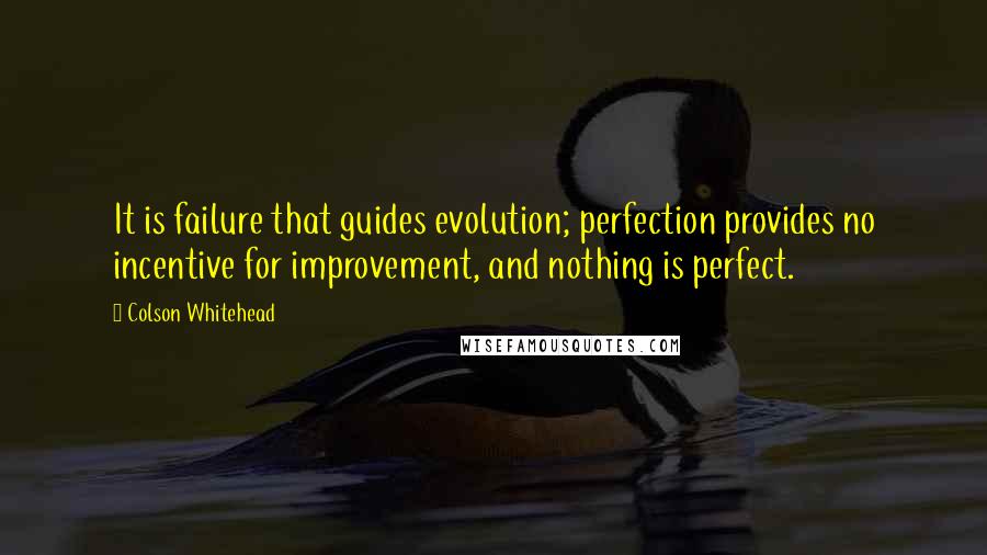 Colson Whitehead Quotes: It is failure that guides evolution; perfection provides no incentive for improvement, and nothing is perfect.