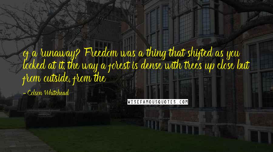 Colson Whitehead Quotes: of a runaway? Freedom was a thing that shifted as you looked at it, the way a forest is dense with trees up close but from outside, from the