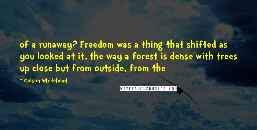 Colson Whitehead Quotes: of a runaway? Freedom was a thing that shifted as you looked at it, the way a forest is dense with trees up close but from outside, from the