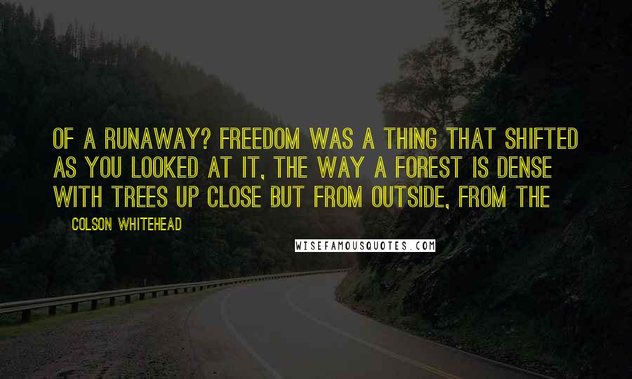 Colson Whitehead Quotes: of a runaway? Freedom was a thing that shifted as you looked at it, the way a forest is dense with trees up close but from outside, from the