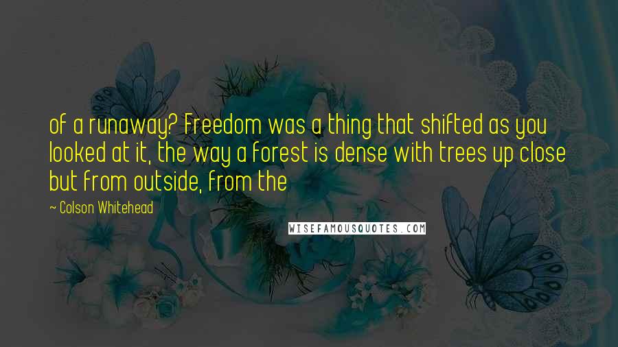 Colson Whitehead Quotes: of a runaway? Freedom was a thing that shifted as you looked at it, the way a forest is dense with trees up close but from outside, from the