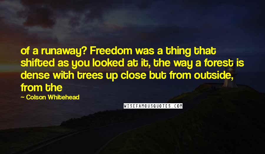 Colson Whitehead Quotes: of a runaway? Freedom was a thing that shifted as you looked at it, the way a forest is dense with trees up close but from outside, from the