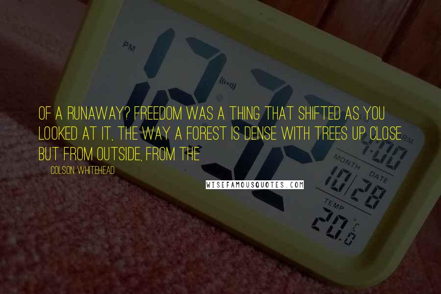 Colson Whitehead Quotes: of a runaway? Freedom was a thing that shifted as you looked at it, the way a forest is dense with trees up close but from outside, from the