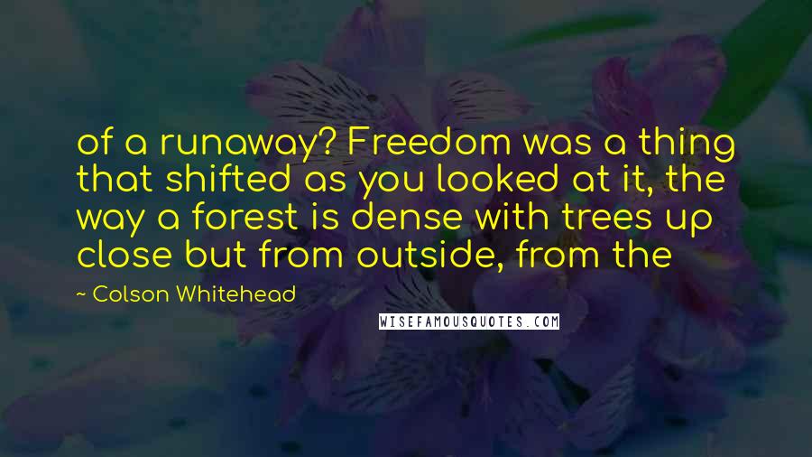 Colson Whitehead Quotes: of a runaway? Freedom was a thing that shifted as you looked at it, the way a forest is dense with trees up close but from outside, from the