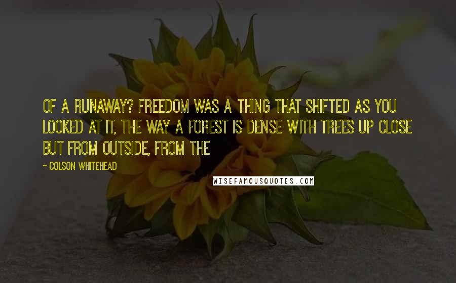 Colson Whitehead Quotes: of a runaway? Freedom was a thing that shifted as you looked at it, the way a forest is dense with trees up close but from outside, from the