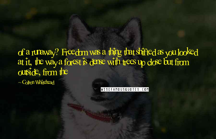 Colson Whitehead Quotes: of a runaway? Freedom was a thing that shifted as you looked at it, the way a forest is dense with trees up close but from outside, from the