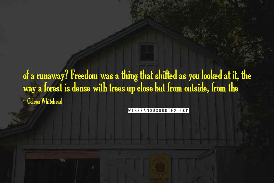 Colson Whitehead Quotes: of a runaway? Freedom was a thing that shifted as you looked at it, the way a forest is dense with trees up close but from outside, from the