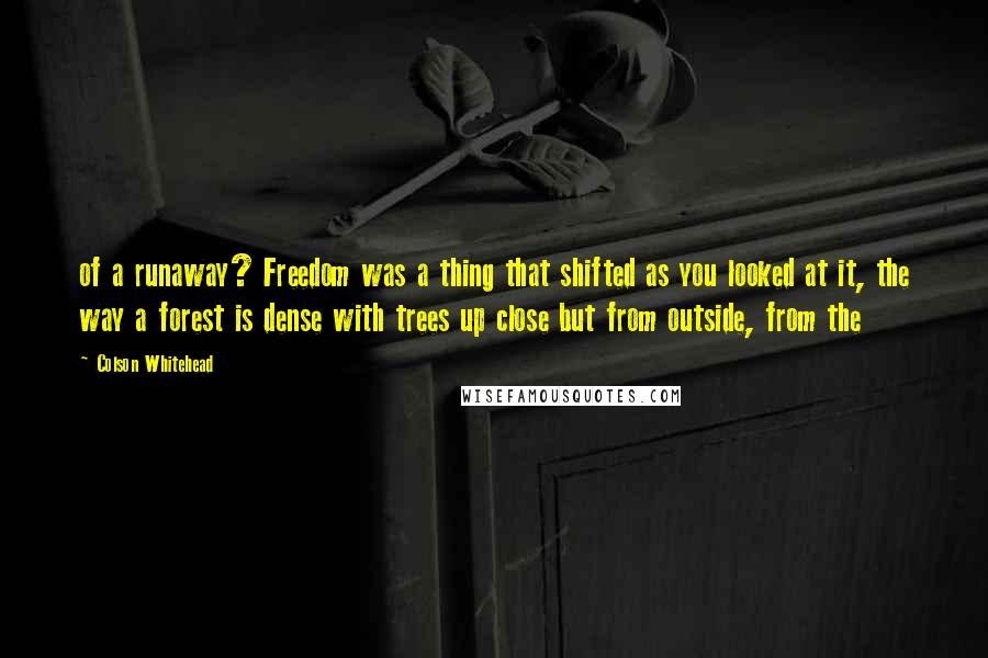 Colson Whitehead Quotes: of a runaway? Freedom was a thing that shifted as you looked at it, the way a forest is dense with trees up close but from outside, from the