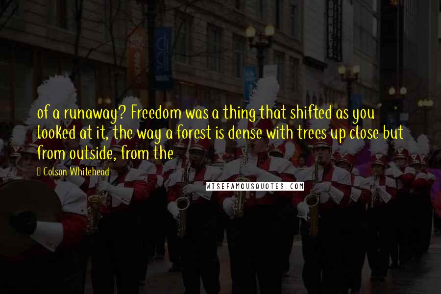 Colson Whitehead Quotes: of a runaway? Freedom was a thing that shifted as you looked at it, the way a forest is dense with trees up close but from outside, from the