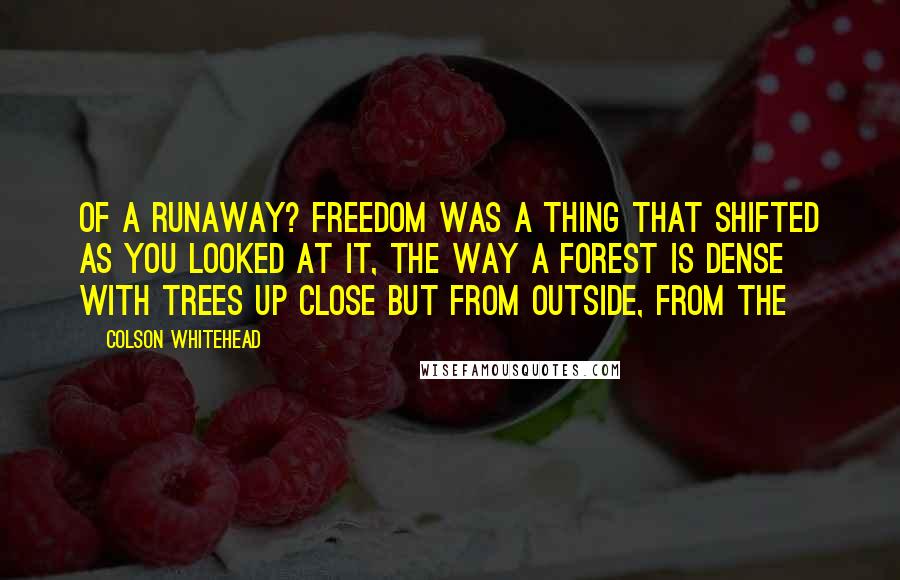 Colson Whitehead Quotes: of a runaway? Freedom was a thing that shifted as you looked at it, the way a forest is dense with trees up close but from outside, from the
