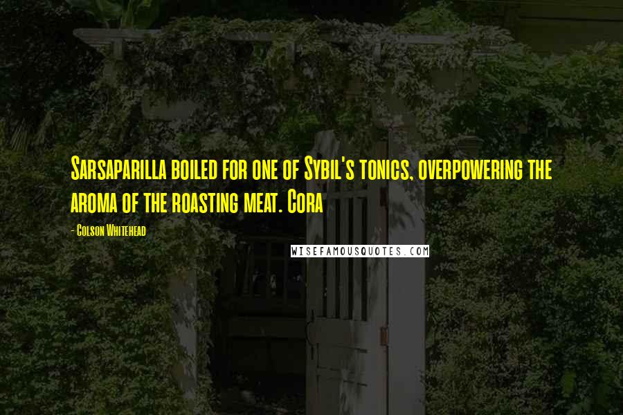 Colson Whitehead Quotes: Sarsaparilla boiled for one of Sybil's tonics, overpowering the aroma of the roasting meat. Cora