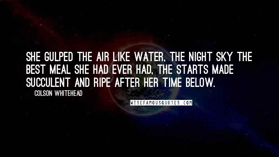 Colson Whitehead Quotes: She gulped the air like water, the night sky the best meal she had ever had, the starts made succulent and ripe after her time below.