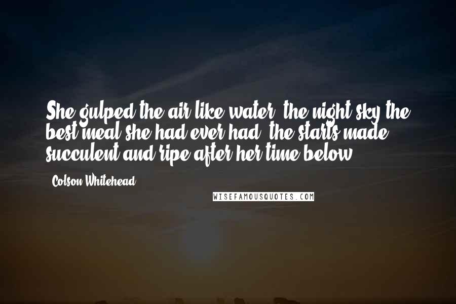 Colson Whitehead Quotes: She gulped the air like water, the night sky the best meal she had ever had, the starts made succulent and ripe after her time below.