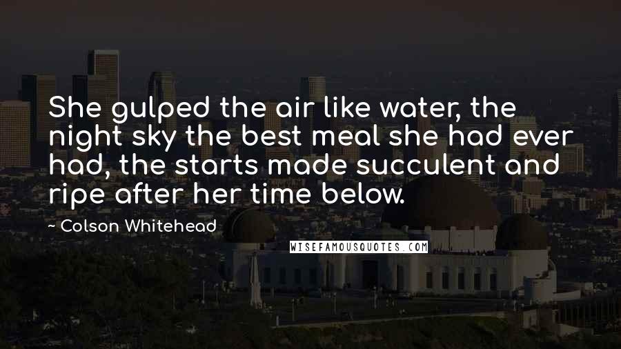 Colson Whitehead Quotes: She gulped the air like water, the night sky the best meal she had ever had, the starts made succulent and ripe after her time below.