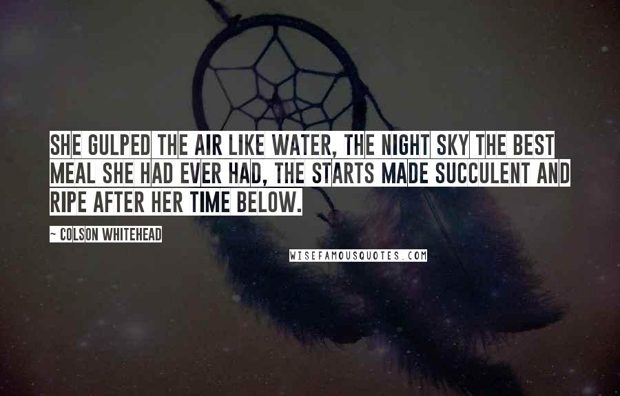 Colson Whitehead Quotes: She gulped the air like water, the night sky the best meal she had ever had, the starts made succulent and ripe after her time below.