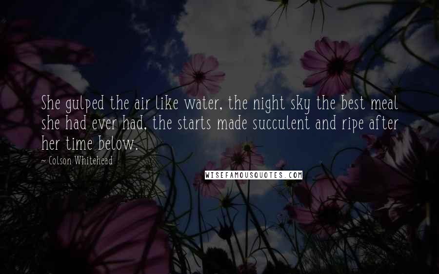 Colson Whitehead Quotes: She gulped the air like water, the night sky the best meal she had ever had, the starts made succulent and ripe after her time below.