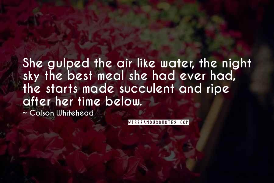 Colson Whitehead Quotes: She gulped the air like water, the night sky the best meal she had ever had, the starts made succulent and ripe after her time below.