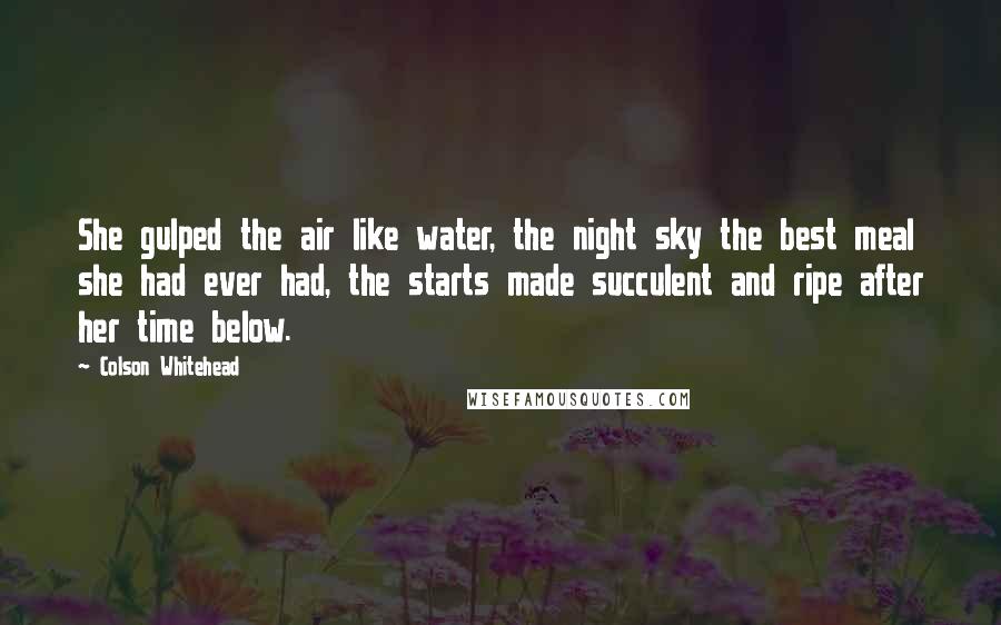 Colson Whitehead Quotes: She gulped the air like water, the night sky the best meal she had ever had, the starts made succulent and ripe after her time below.