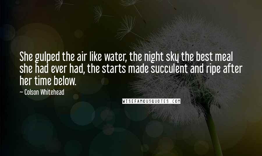 Colson Whitehead Quotes: She gulped the air like water, the night sky the best meal she had ever had, the starts made succulent and ripe after her time below.