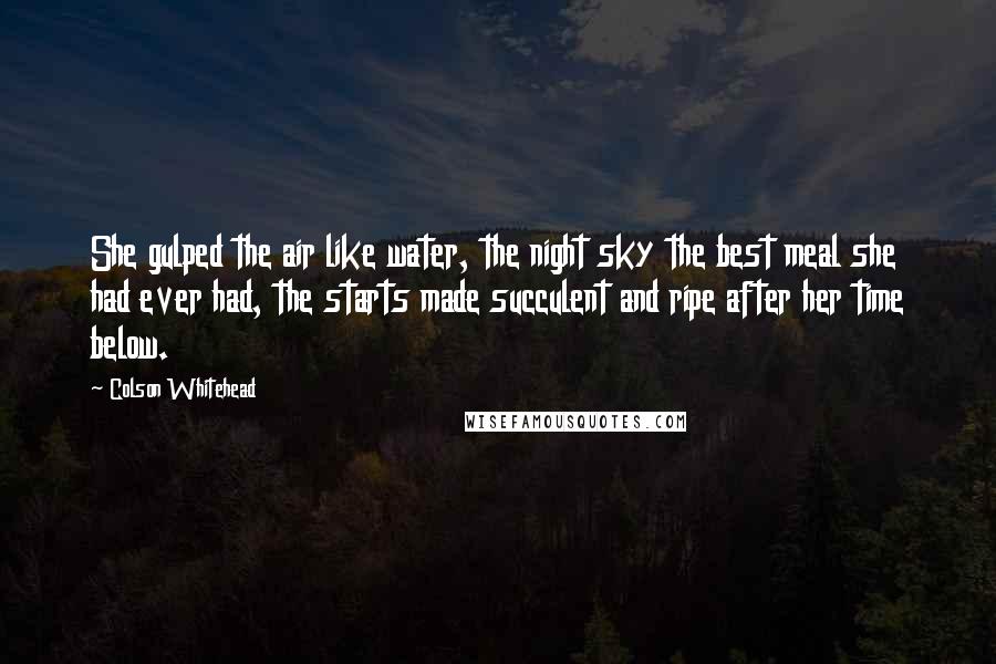 Colson Whitehead Quotes: She gulped the air like water, the night sky the best meal she had ever had, the starts made succulent and ripe after her time below.