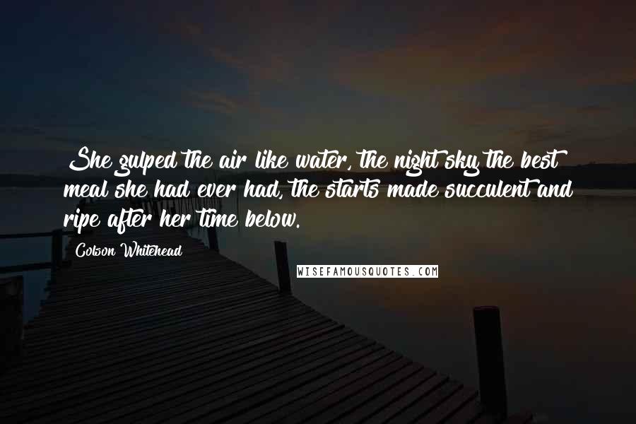 Colson Whitehead Quotes: She gulped the air like water, the night sky the best meal she had ever had, the starts made succulent and ripe after her time below.