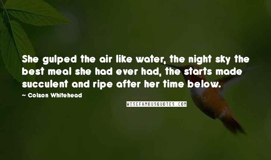 Colson Whitehead Quotes: She gulped the air like water, the night sky the best meal she had ever had, the starts made succulent and ripe after her time below.