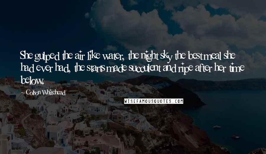 Colson Whitehead Quotes: She gulped the air like water, the night sky the best meal she had ever had, the starts made succulent and ripe after her time below.