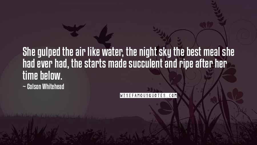 Colson Whitehead Quotes: She gulped the air like water, the night sky the best meal she had ever had, the starts made succulent and ripe after her time below.