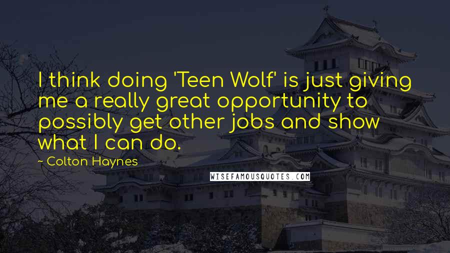 Colton Haynes Quotes: I think doing 'Teen Wolf' is just giving me a really great opportunity to possibly get other jobs and show what I can do.